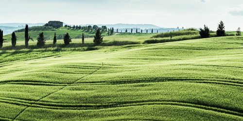 Typical landscape from Tuscany with green hills